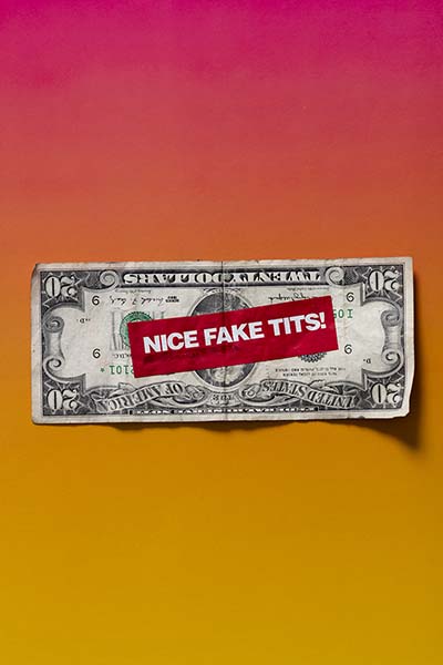Nice Fake Tits